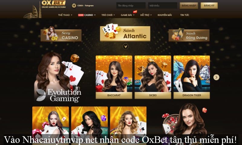 OXbet Casino